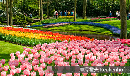 荷蘭-庫肯霍夫鬱金香花園